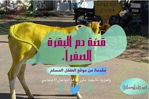 حواديت اطفال مكتوبة قصيرة بالصور